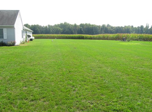 Property photo 22 - Real Estate Auction - 31+/- Acres Offered in 3 Tracts Including a 3-Bedroom Home